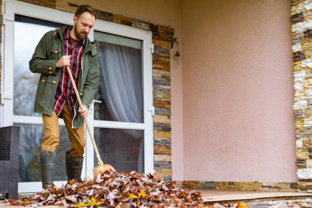 Best Junk Removal Near Me  in Newberry, MI
