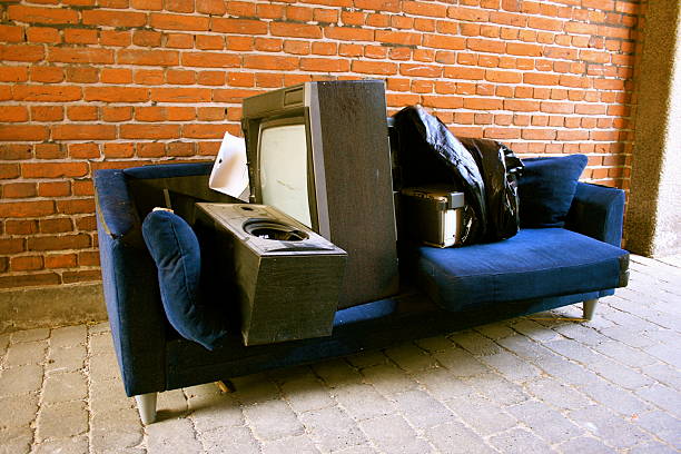Best Electronics Removal Services  in Newberry, MI
